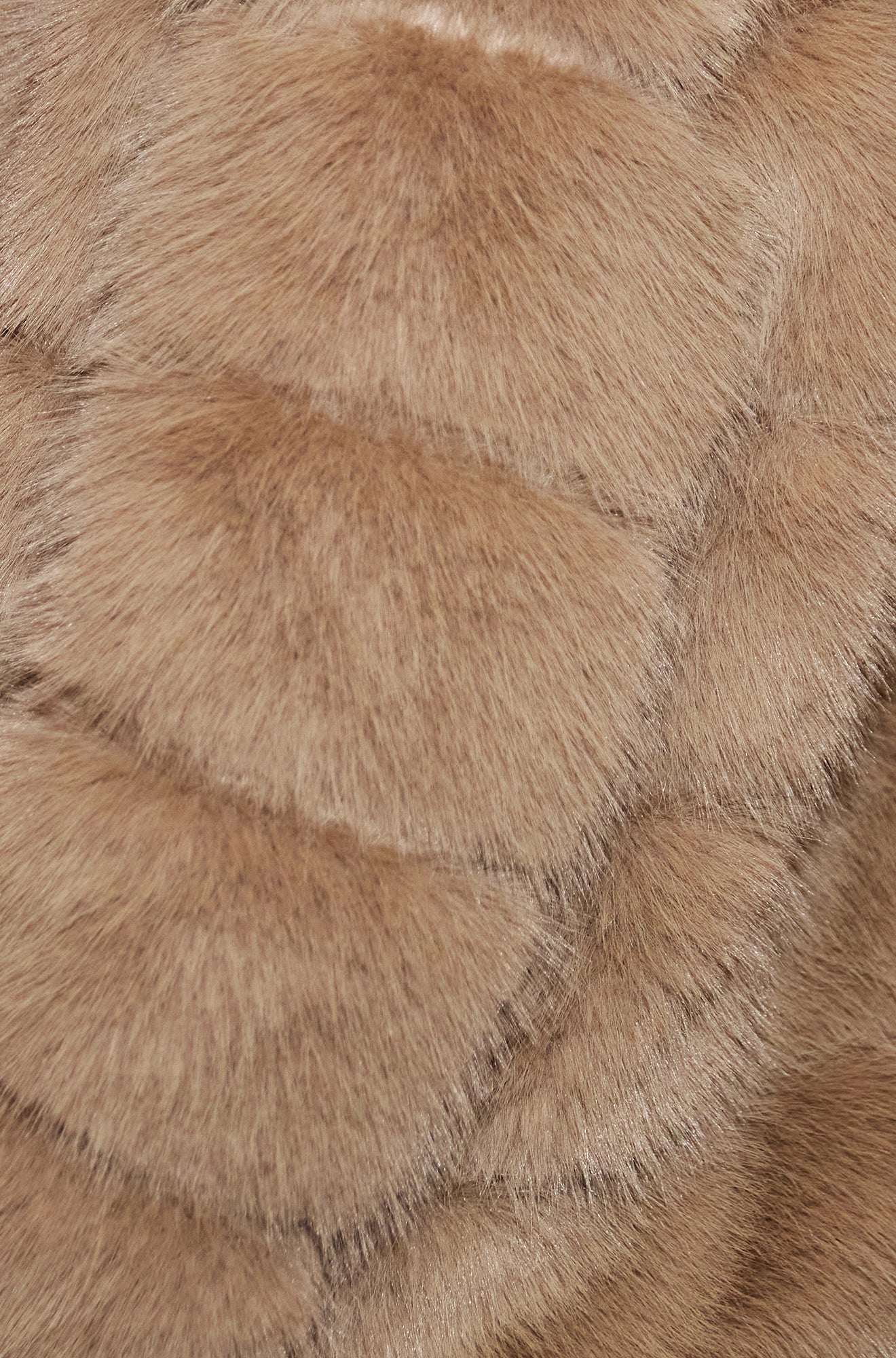Close-up of brown fur texture