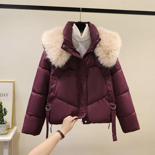 Women's Padded Puffer Jacket - Stand Collar