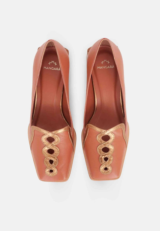 Pair of brown shoes with gold embellishments on a white background