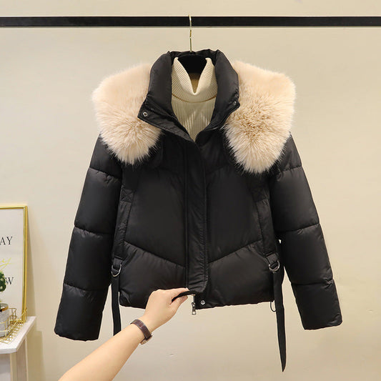 Women's Padded Puffer Jacket - Stand Collar