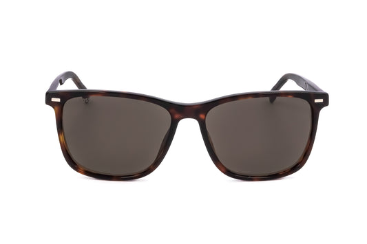 Hugo Boss Men's Havana Acetate Sunglasses - BOSS 1554