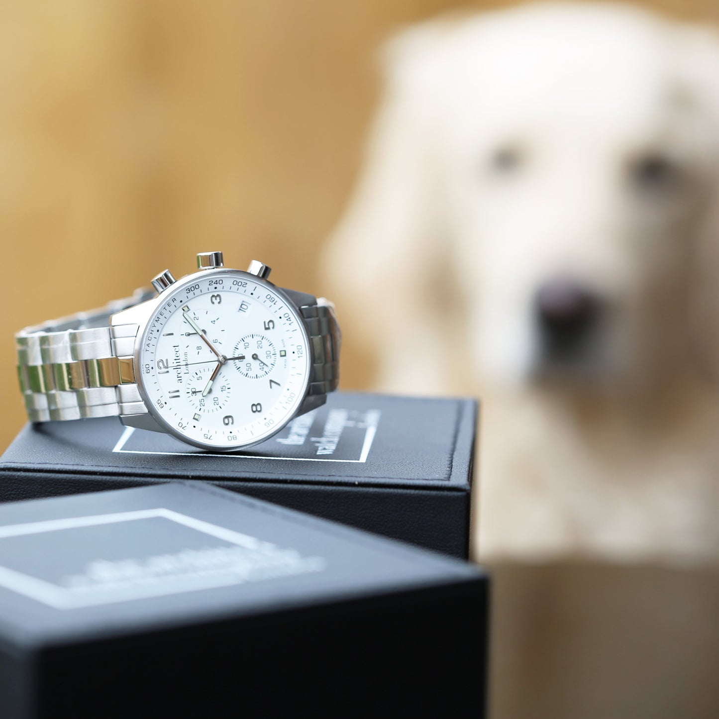 Swiss Made Men's Architect Endeavour Watch Engraved