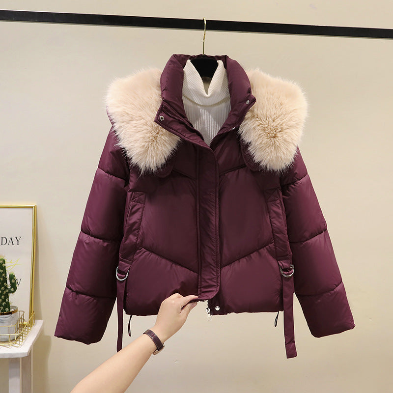 Women's Padded Puffer Jacket - Stand Collar