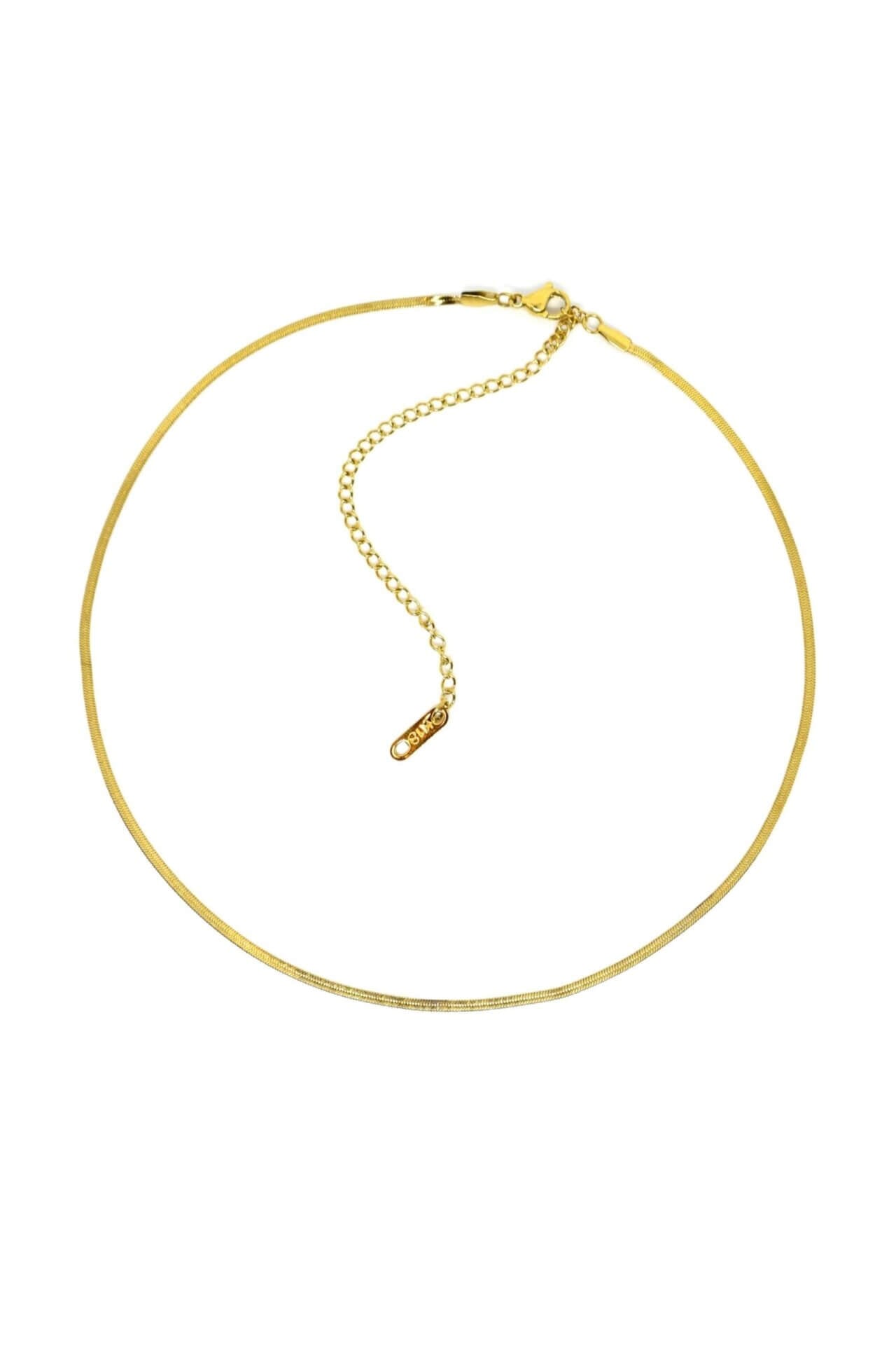 Gold necklace on a white background