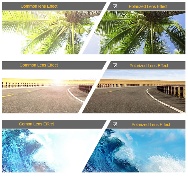 Comparison of common lens effect and polarized lens effect on images of palm trees, road, and ocean waves.